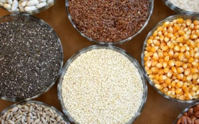 Understanding Rice Grades for Global Buyers