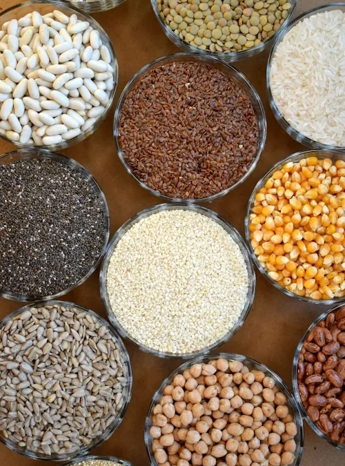 Understanding Rice Grades for Global Buyers