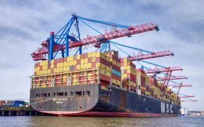 What Happens Between Order and Container Loading